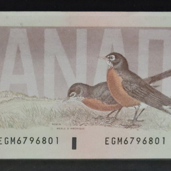 (SOLD) Canada Coins & Banknotes Display Case - Picture 9 of 14